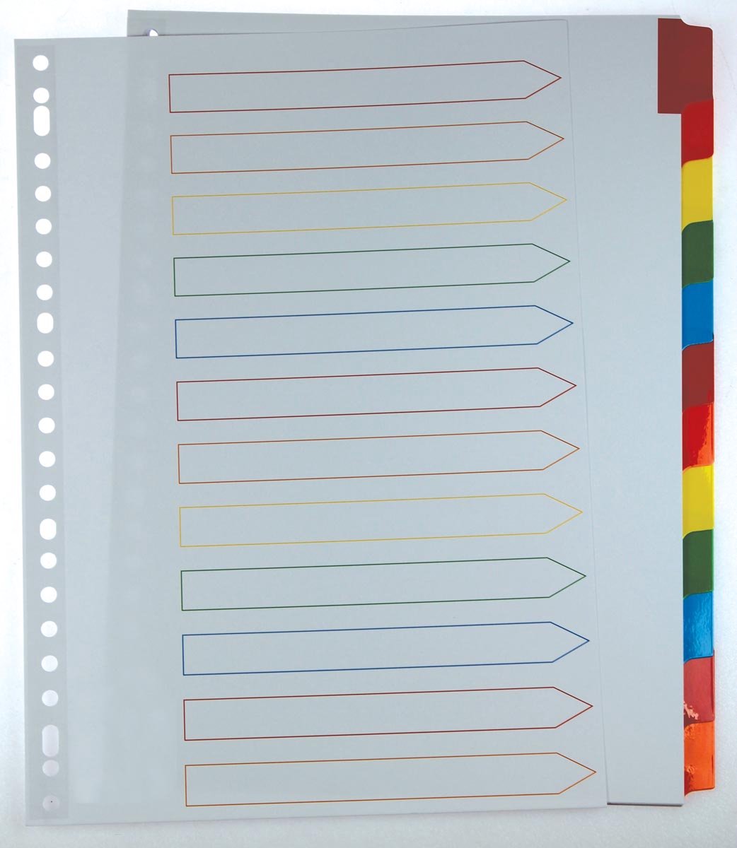 Pergamie-Registerkarten mit Registerblatt | ft a4 | 11-Loch-Lochung | verschiedene Farben | 12 Tabs