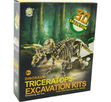 Aro schnitzt ein Dinosaurierskelett, einen Triceratops, 23 cm