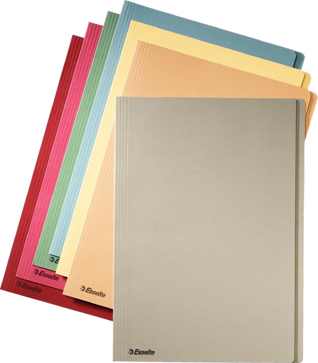 Esselte 100x Aktenordner, Folio im blauen Format