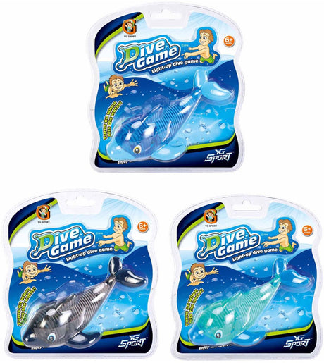 Delphin mit Licht tauchen