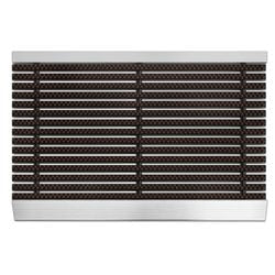 Eingangsmatte Profi Line Profi Brush braun