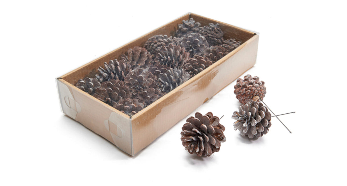 Pinus nigra frosted white 18pcs on 10cm wire