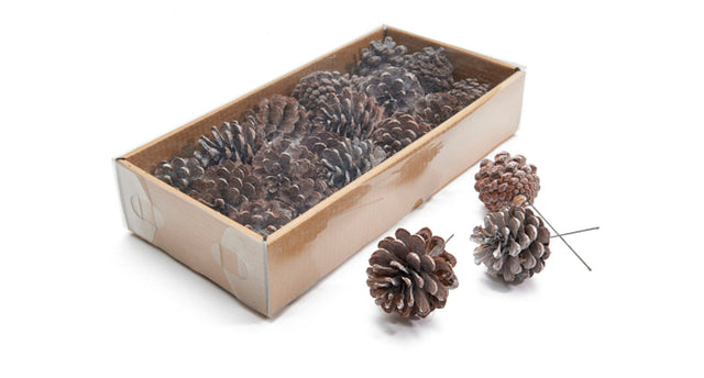 Pinus nigra frosted white 18pcs on 10cm wire