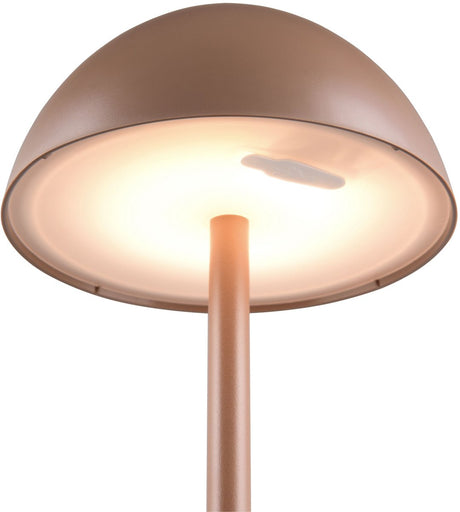 Rl lebe deine Lichtrealität Ricardo - Tischleuchte - Mokka - inkl. 1x SMD 1,7 W - 4-Stufen-Touch - USB-Anschluss - Beleuchtung auf und ab - wiederaufladbar - kabellos - Außenbeleuchtung - IP54