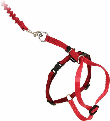 Petsafe Easy Walk Katzengeschirr mit Bungee-Leine – Geschirr zum Gassigehen mit Ihrer Katze – Rot oder Blau – S M L – Farbe: Rot, Größe: S 23–28 cm