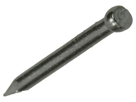 Mack 1019889 - nagel ronde kop inox a2 40 st 1,6 x 20 mm | 10 stuks