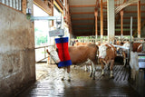 Happycow Kuhbürste Maxiswing