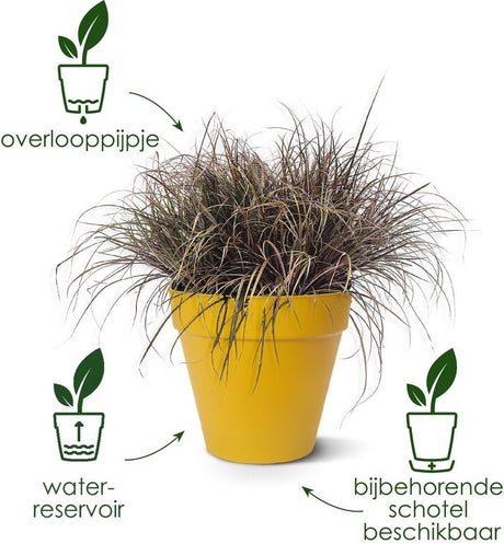 Elho Loft Urban Round 20 – Blumentopf für den Außenbereich – ø 19,3 x H 17,5 cm – Lavendelflieder
