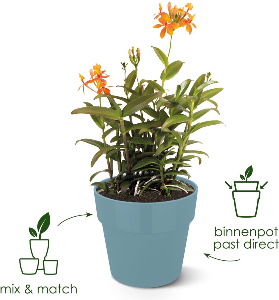 Elho b.for original rond 22 - bloempot voor binnen - 100% gerecycled plastic - ø 22.0 x h 20.3 cm - wit