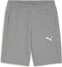Puma Teamgoal Casuals Shorts Herren-Sporthose – Mittelgrau meliert – Weiß
