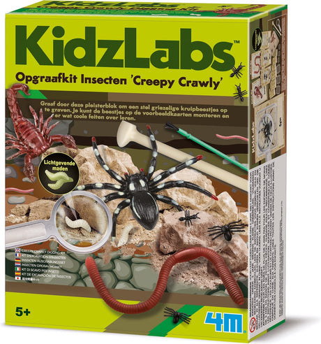 4 m großes Grabset – Insekten – Wissenschaft und Spiel – Biologie – gruseliges Krabbeltier – Kidzlabs – 5 Jahre