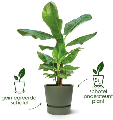 Elho greenville rond 30 - grote bloempot voor buiten met waterreservoir - 100% gerecycled plastic - ø 29.5 x h 27.8 cm - vintage pruim