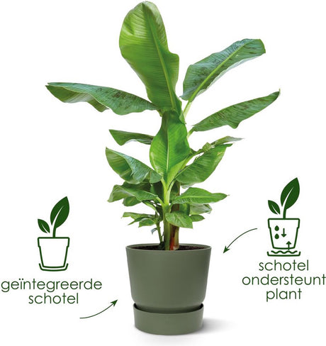 Elho greenville rond 16 - bloempot voor buiten met waterreservoir - 100% gerecycled plastic - ø 16 x h 15.3 cm - goudkleurig zand