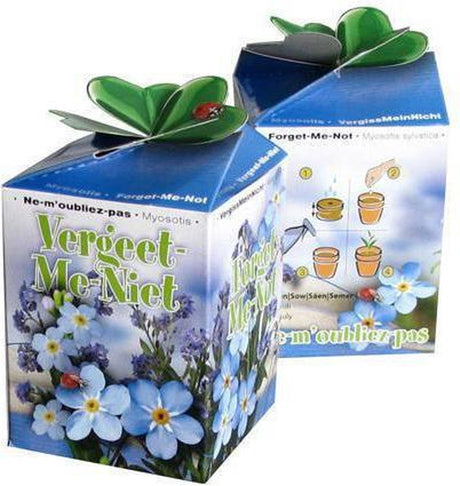 Sluis garden greengift los doosje, vergeet-me-niet