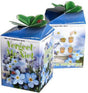 Sluis garden greengift los doosje, vergeet-me-niet