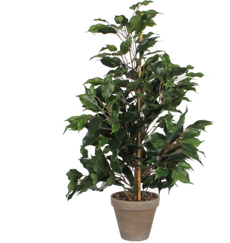 Glimmerdekorationen Kunstpflanze tropischer Ficus – grün – 65 cm – Zimmerpflanze – Zimmerpflanze – Kunstpflanze – Zimmerpflanzen.