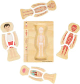 Bigjigs Anatomie-Puzzle aus Holz – Junge, 26 Teile.