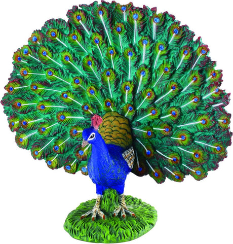 Collecta Figur - Pfau - (l) - Nutztiere - handbemalt - Miniatur