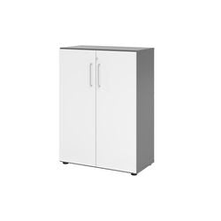 Bach Cabinet Hammerer V938T3 G W BS Grau