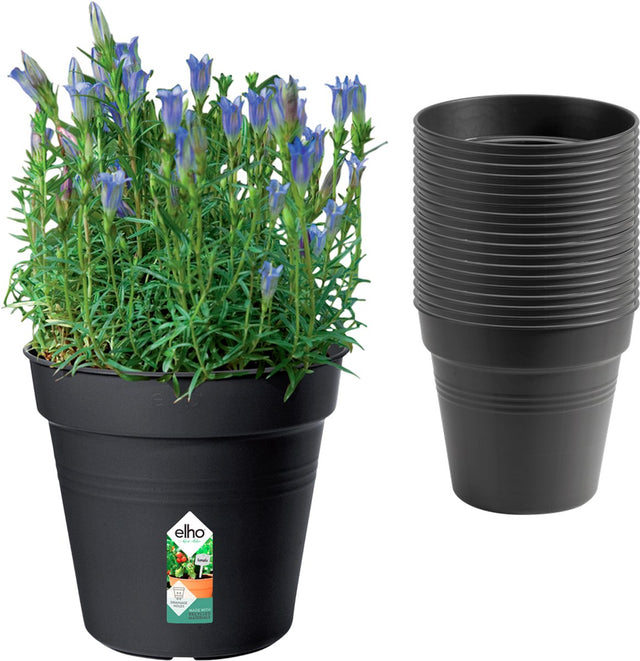 Elho Green Basics Anzuchttopf 17 cm | Set mit 20 Anzuchttöpfen – Living Black