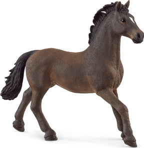 Schleich Pferdeclub - Oldenburger Hengst - Spielfigur - Kinderspielzeug für Jungen und Mädchen - 5 bis 12 Jahre - 13946