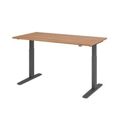 Bach Sitz-Steh-Schreibtischhammer VXMKA16 N G mehrfarbig 1600 x 800 mm