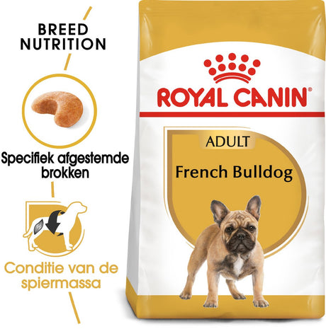 Erwachsene französische Bulldogge Royal Canin