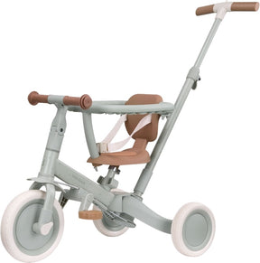 Little dutch - 4 in 1 driewieler met duwstang - green leaf