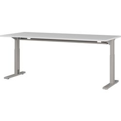 Schreibtisch Germania 4253-583 grau 750 mm (H)