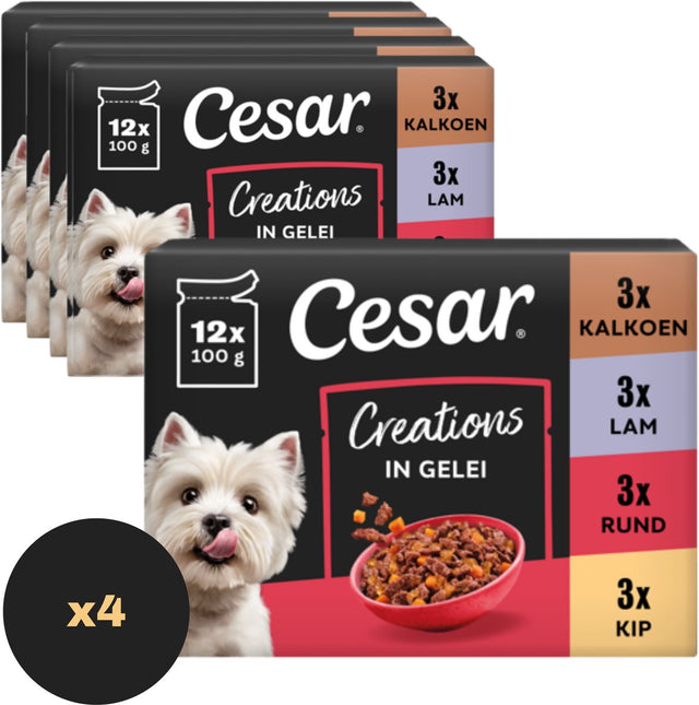 Cesar hondenvoer - creation mix selectie in gelei - maaltijdzakjes - 48 x 100g