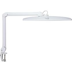 Schreibtischlampe Maul 8205602 Maulexplore weiß