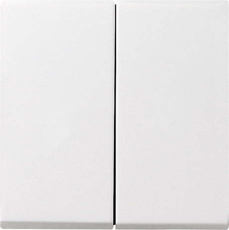 Gira systeem 55 besturingselement centrale plaat schakelmateriaal - 029527 - e29du