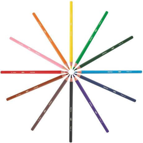 Bic Buntstifte ecolutions evolution 144 Stück – nachhaltiger Malspaß.