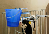 Producten kalveremmer kunststof afgeplat kaal blauw transparant