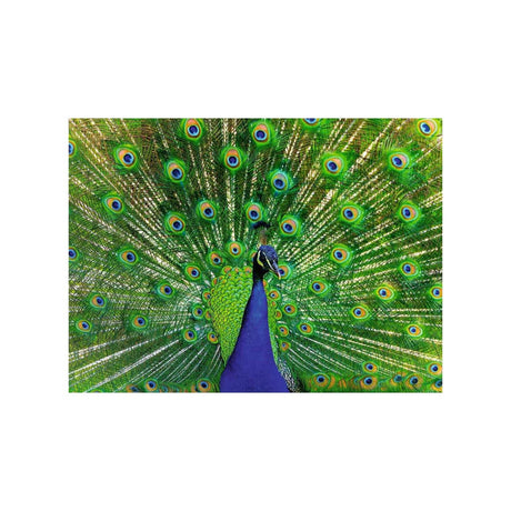 Ravensburger Puzzle Pfau 500 Teile