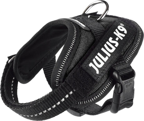 Julius K9 IDC Power-Harnas Tuig für Etiketten schwarz