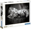 Clementoni – Puzzle – 1000 Teile – Kätzchen – Puzzle für Erwachsene – hochwertige Kollektion