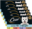 Cesar Hundefutter – Senior 10+ – in Gelee mischen – Dosen – 24 x 150 g