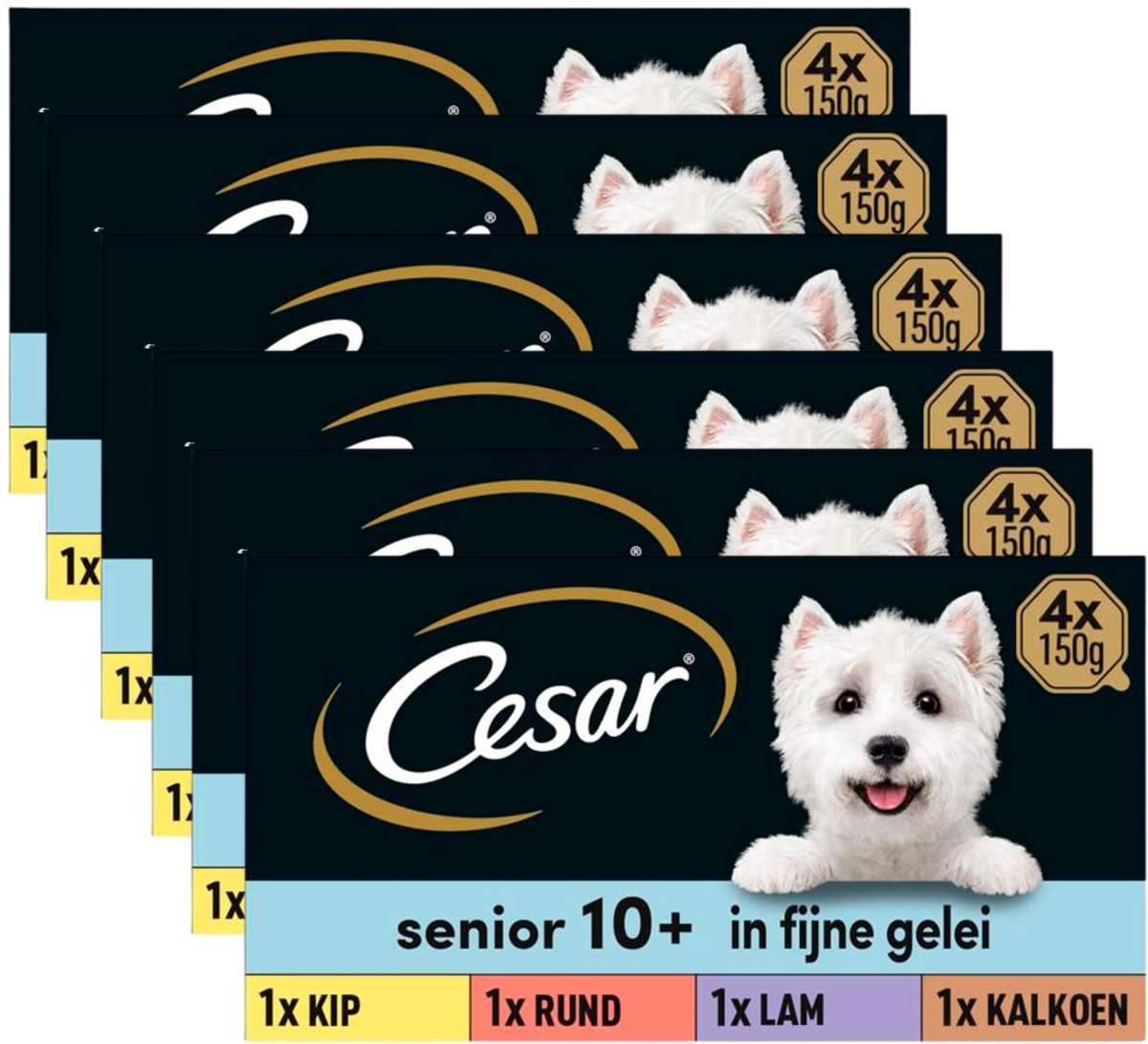Cesar Hundefutter – Senior 10+ – in Gelee mischen – Dosen – 24 x 150 g