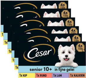 Cesar Hundefutter – Senior 10+ – in Gelee mischen – Dosen – 24 x 150 g