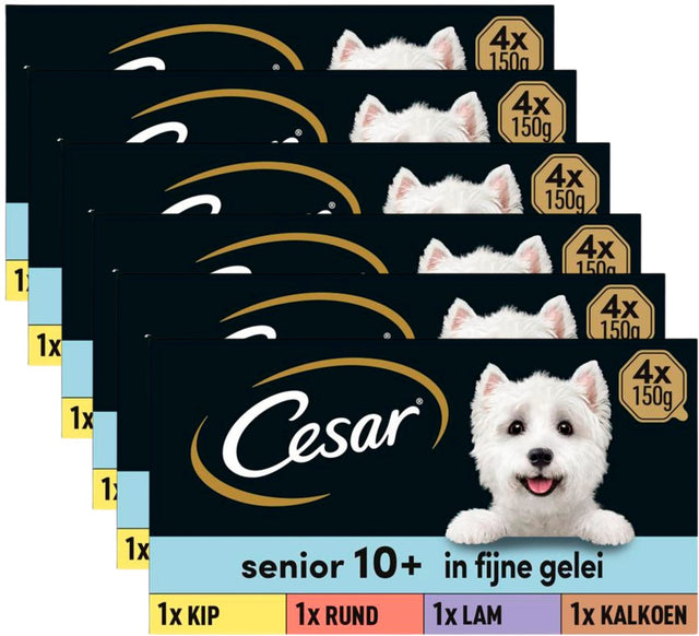 Cesar Hundefutter – Senior 10+ – in Gelee mischen – Dosen – 24 x 150 g