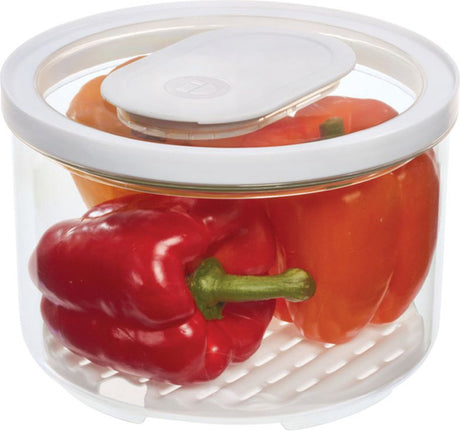 Idesign – id fresh Frischfutternapf groß – Zylar – transparent
