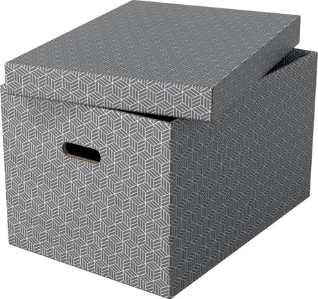 Esselte Aufbewahrungsbox 628287 groß 55 l grau