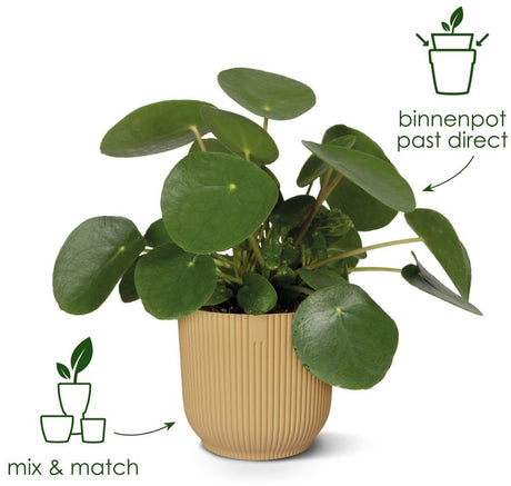 Elho vibes fold rond 16 - bloempot voor binnen - 100% gerecycled plastic - ø 16.1 x h 14.8 cm - linen white