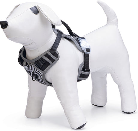 Beeztees Hundegeschirr Sicherheitsausrüstung Parinca Premium Y-Geschirr - Hundegeschirr - LED - Nylon - Schwarz - 38-51cmx15mm s