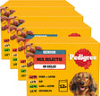 Pedigree Hundefutter Senior - Mischungsauswahl in Gelee - 48x100g
