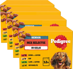 Pedigree Hundefutter Senior - Mischungsauswahl in Gelee - 48x100g