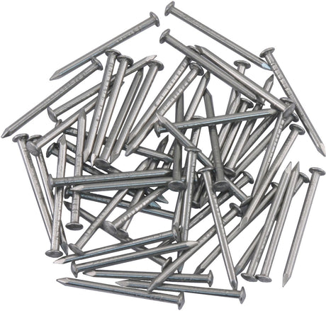 Ellen bevestiging - nikkel - nikkel - - tochtstripnagel 25 x 1.6 mm nikkel