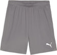 Puma Teamgoal Shorts Herren Sporthose – Gusseisen – Weiß
