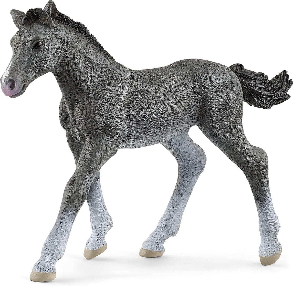 Schleich Horse Club - Trakehner Fohlen - Spielfigur - Kinderspielzeug für Jungen und Mädchen - 5 bis 12 Jahre -13944